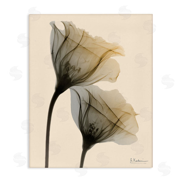 stupell industries Albert Koetsier | Neutral Light Flower Photograph