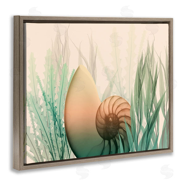 Stupell Industries Albert Koetsier | Ocean Seashell Seaweed Collage