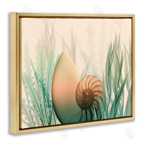 Stupell Industries Albert Koetsier | Ocean Seashell Seaweed Collage