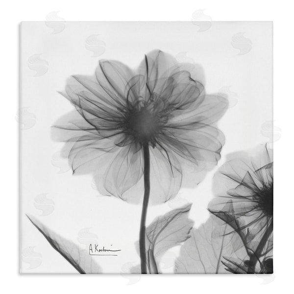 stupell industries Albert Koetsier | Opaque Dahlia Flower Silhouette