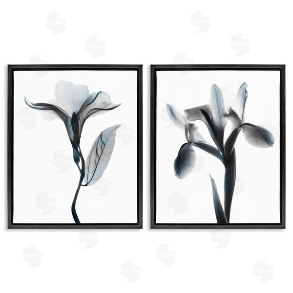 Stupell Industries Albert Koetsier | Opaque Oleander Silhouette Minimal Floral Wall Art