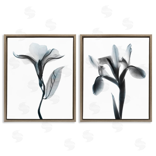 Stupell Industries Albert Koetsier | Opaque Oleander Silhouette Minimal Floral Wall Art