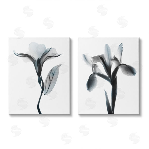 stupell industries Albert Koetsier | Opaque Oleander Silhouette Minimal Floral Wall Art