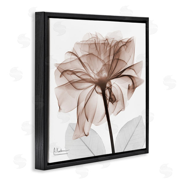 Stupell Industries Albert Koetsier | Opaque Rose Blossom