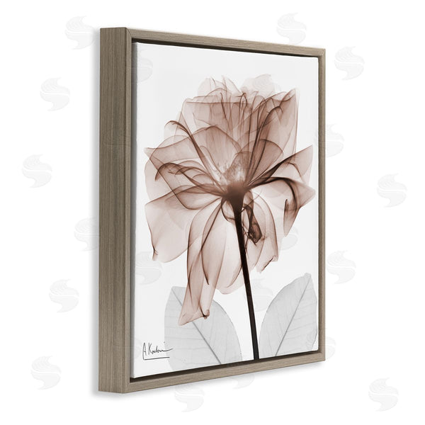 Stupell Industries Albert Koetsier | Opaque Rose Blossom