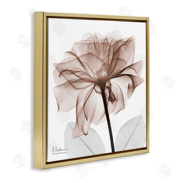 Stupell Industries Albert Koetsier | Opaque Rose Blossom