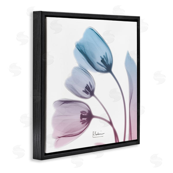 Stupell Industries Albert Koetsier | Opaque Tulip Blue Pink Photograph