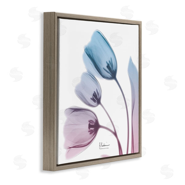 Stupell Industries Albert Koetsier | Opaque Tulip Blue Pink Photograph