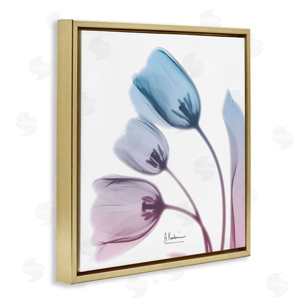 Stupell Industries Albert Koetsier | Opaque Tulip Blue Pink Photograph
