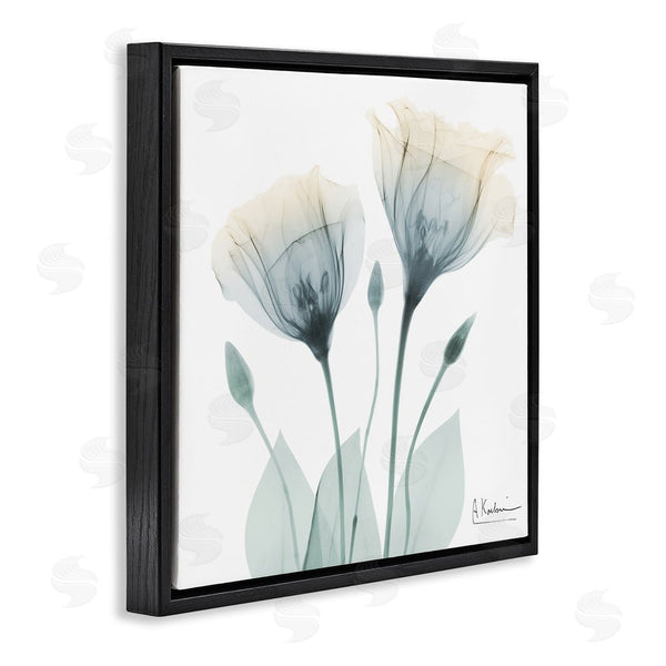 Stupell Industries Albert Koetsier | Opaque Tulip Duo Wall Art