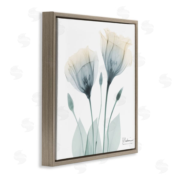 Stupell Industries Albert Koetsier | Opaque Tulip Duo Wall Art