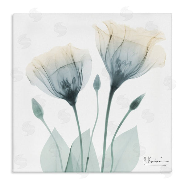 stupell industries Albert Koetsier | Opaque Tulip Duo Wall Art