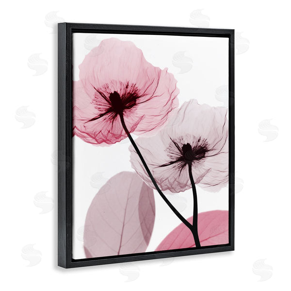 Stupell Industries Albert Koetsier | Pink Poppy Flowers Wall Art