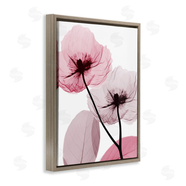 Stupell Industries Albert Koetsier | Pink Poppy Flowers Wall Art