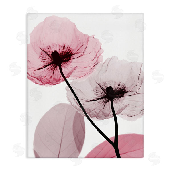 stupell industries Albert Koetsier | Pink Poppy Flowers Wall Art