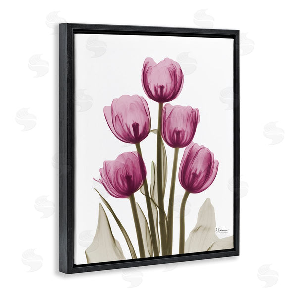 Stupell Industries Albert Koetsier | Pink X-Ray Tulips