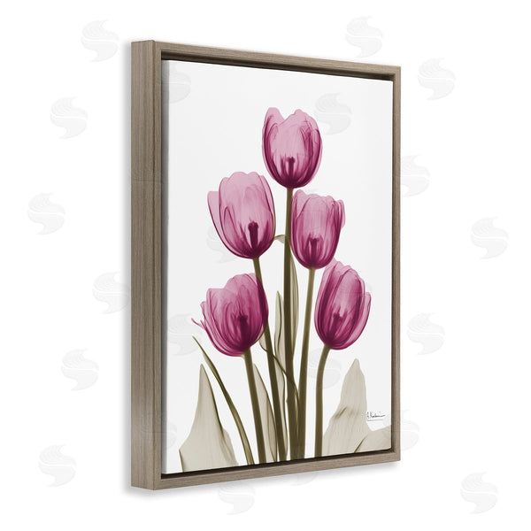 Stupell Industries Albert Koetsier | Pink X-Ray Tulips