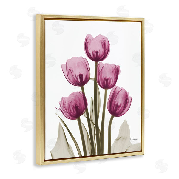 Stupell Industries Albert Koetsier | Pink X-Ray Tulips