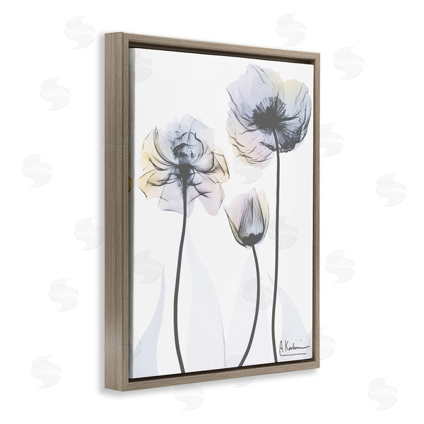 Stupell Industries Albert Koetsier | Poppy Flower Trio Wall Art