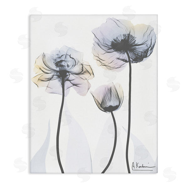 stupell industries Albert Koetsier | Poppy Flower Trio Wall Art