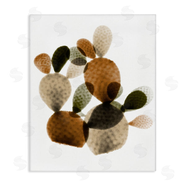 Stupell Industries Albert Koetsier | Prickly Pear Cactus Plants Layered Green Brown Succulents Wall Art