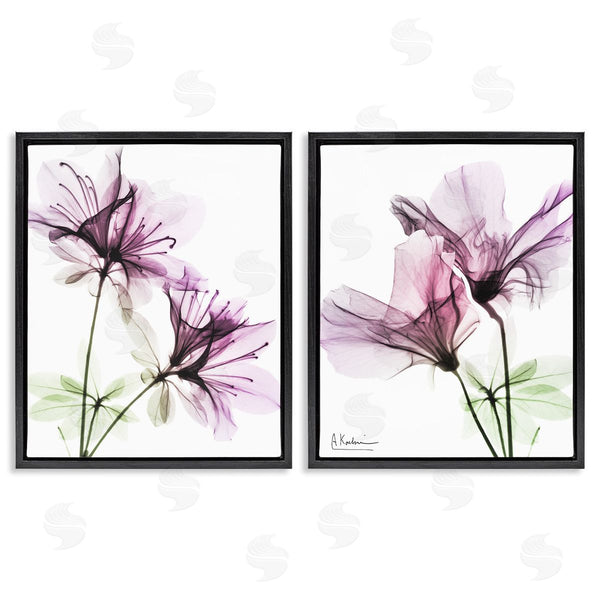 Stupell Industries Albert Koetsier | Purple Flower Bloom Design Wall Art