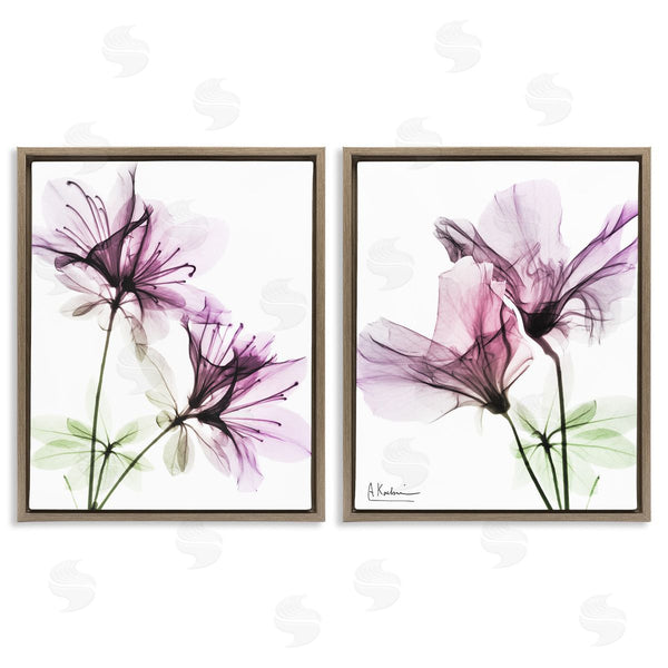 Stupell Industries Albert Koetsier | Purple Flower Bloom Design Wall Art