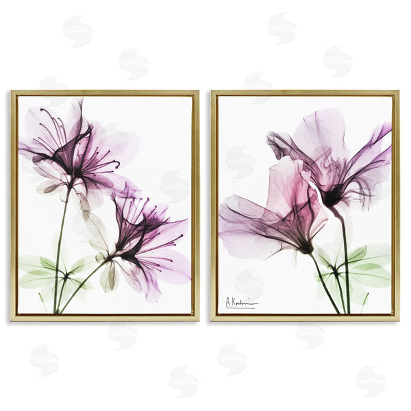 Stupell Industries Albert Koetsier | Purple Flower Bloom Design Wall Art