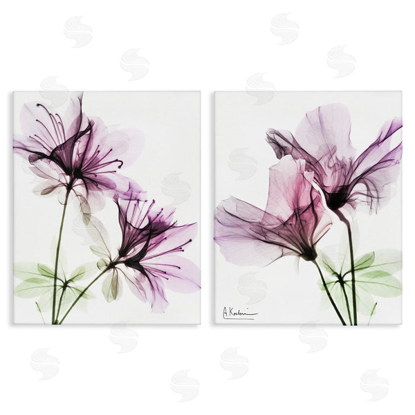 stupell industries Albert Koetsier | Purple Flower Bloom Design Wall Art