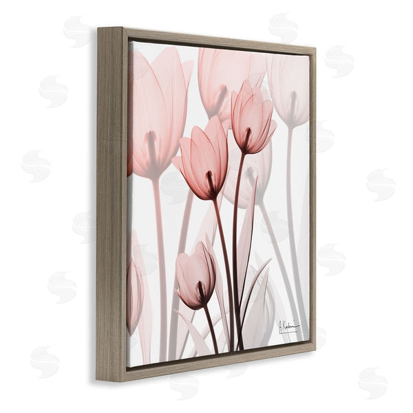 Stupell Industries Albert Koetsier | Red Floral Silhouettes Modern Photograph