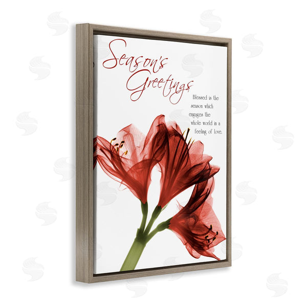 Stupell Industries Albert Koetsier | Season's Greetings Holiday Amaryllis