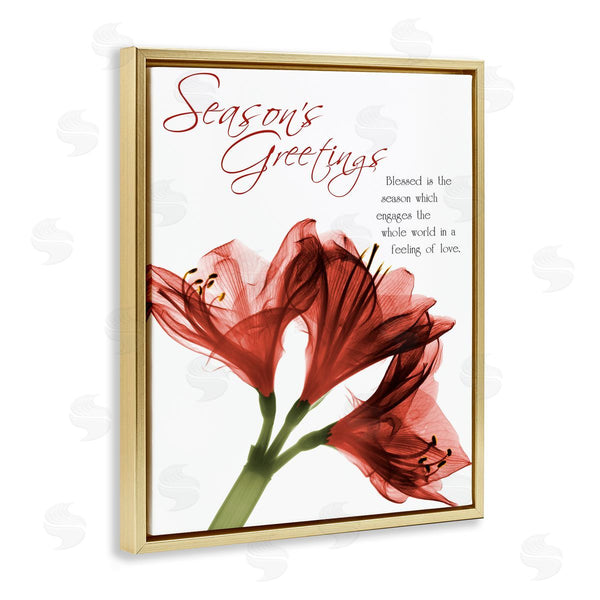 Stupell Industries Albert Koetsier | Season's Greetings Holiday Amaryllis