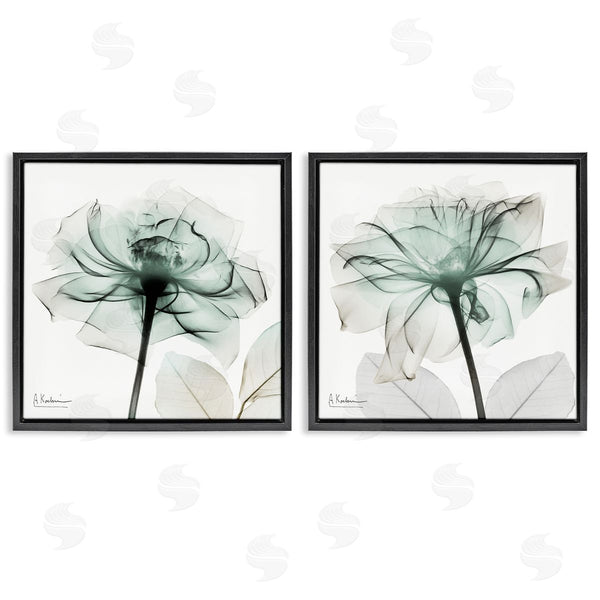 Stupell Industries Albert Koetsier | Serene Emerald Rose