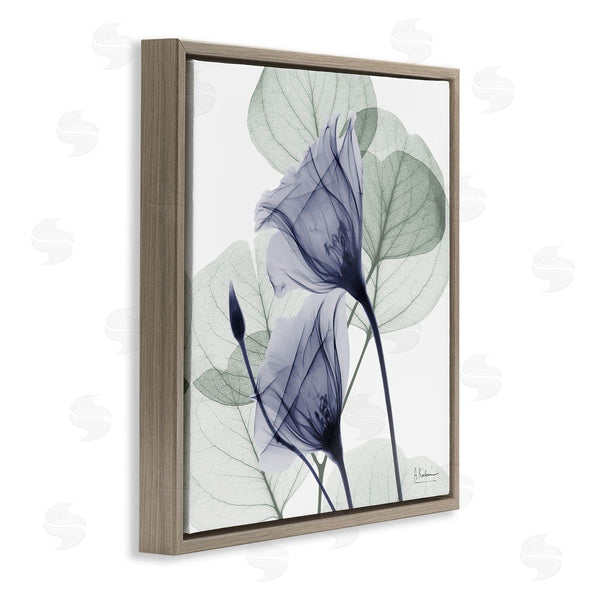 Stupell Industries Albert Koetsier | Serene Tulips & Herbs