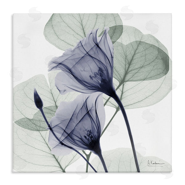 stupell industries Albert Koetsier | Serene Tulips & Herbs