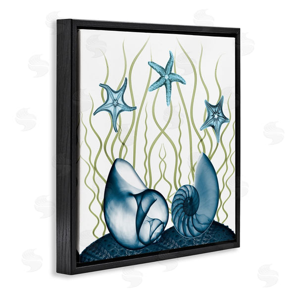 Stupell Industries Albert Koetsier | Shells And Starfish Modern Sea Design Wall Art
