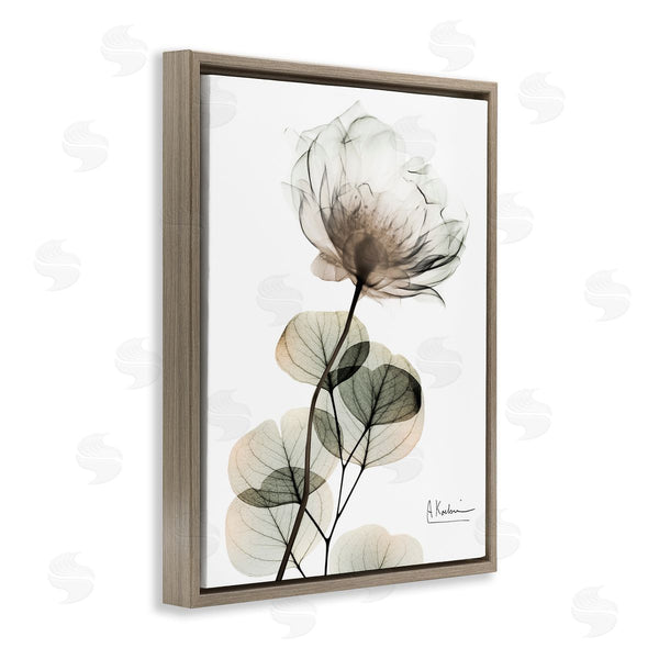Stupell Industries Albert Koetsier | Simple Elegant White Flower