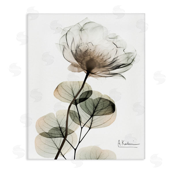 stupell industries Albert Koetsier | Simple Elegant White Flower