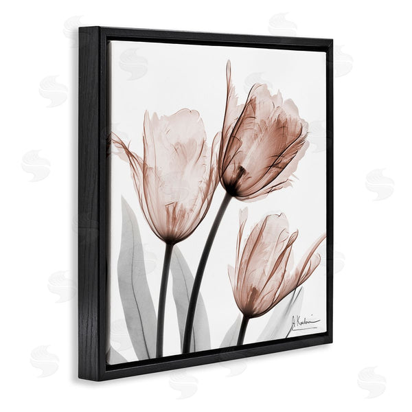 Stupell Industries Albert Koetsier | Simple Transparent Tulips