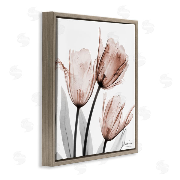 Stupell Industries Albert Koetsier | Simple Transparent Tulips