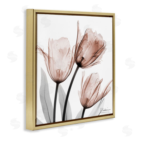 Stupell Industries Albert Koetsier | Simple Transparent Tulips