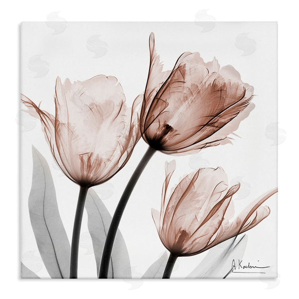stupell industries Albert Koetsier | Simple Transparent Tulips