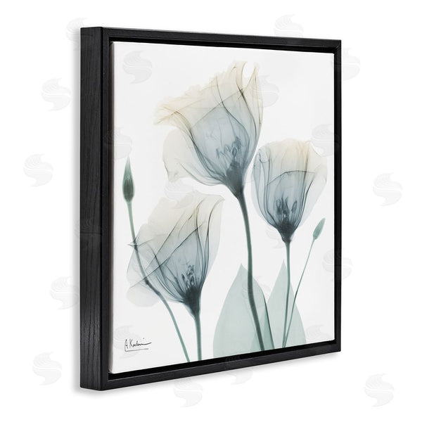 Stupell Industries Albert Koetsier | Soft Opaque Tulips Wall Art