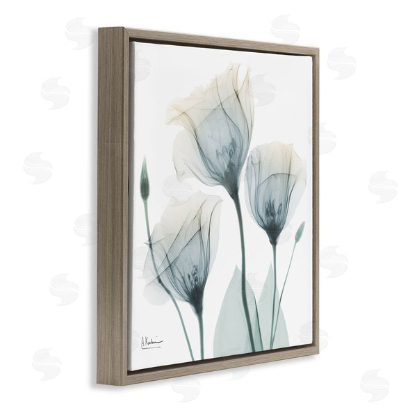 Stupell Industries Albert Koetsier | Soft Opaque Tulips Wall Art