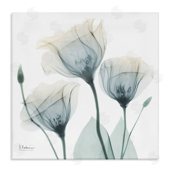 stupell industries Albert Koetsier | Soft Opaque Tulips Wall Art
