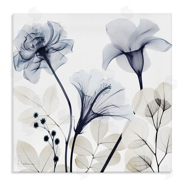 stupell industries Albert Koetsier | Sophisticated Minimal Flowers