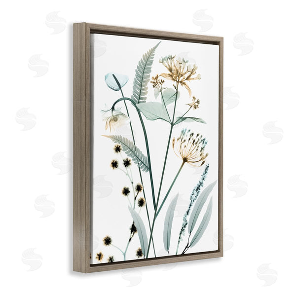 Stupell Industries Albert Koetsier | Spring Meadow Wildflowers Translucent Plant Photography Wall Art