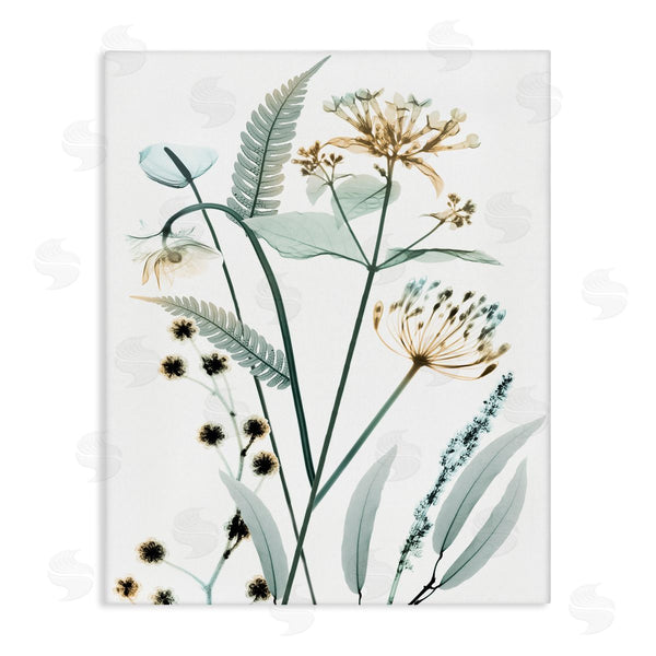stupell industries Albert Koetsier | Spring Meadow Wildflowers Translucent Plant Photography Wall Art