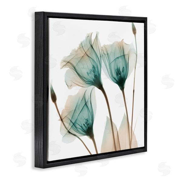Stupell Industries Albert Koetsier | Spring Tulip Florals Translucent Plant Photography Wall Art