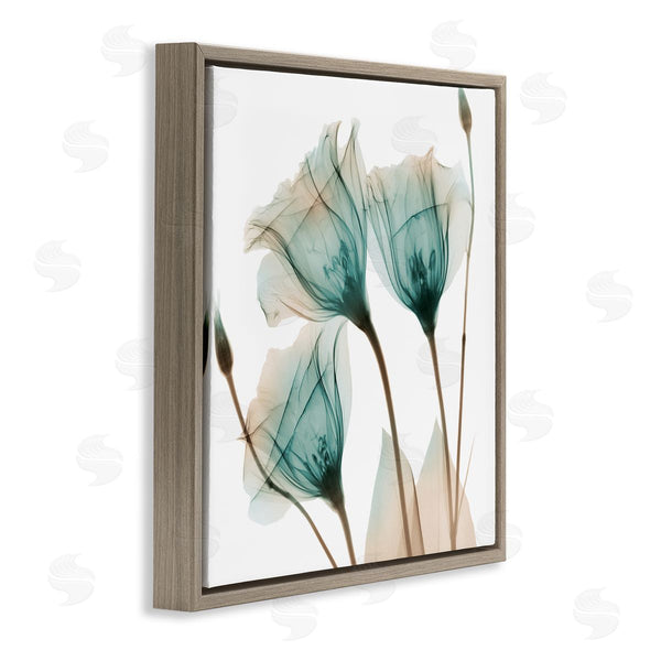 Stupell Industries Albert Koetsier | Spring Tulip Florals Translucent Plant Photography Wall Art